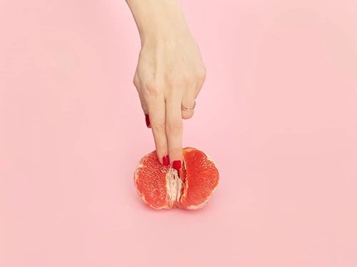 Chức năng của hột le là gì?