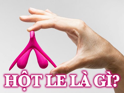 Hột le là gì? Cấu tạo, vị trí và chức năng của hột le